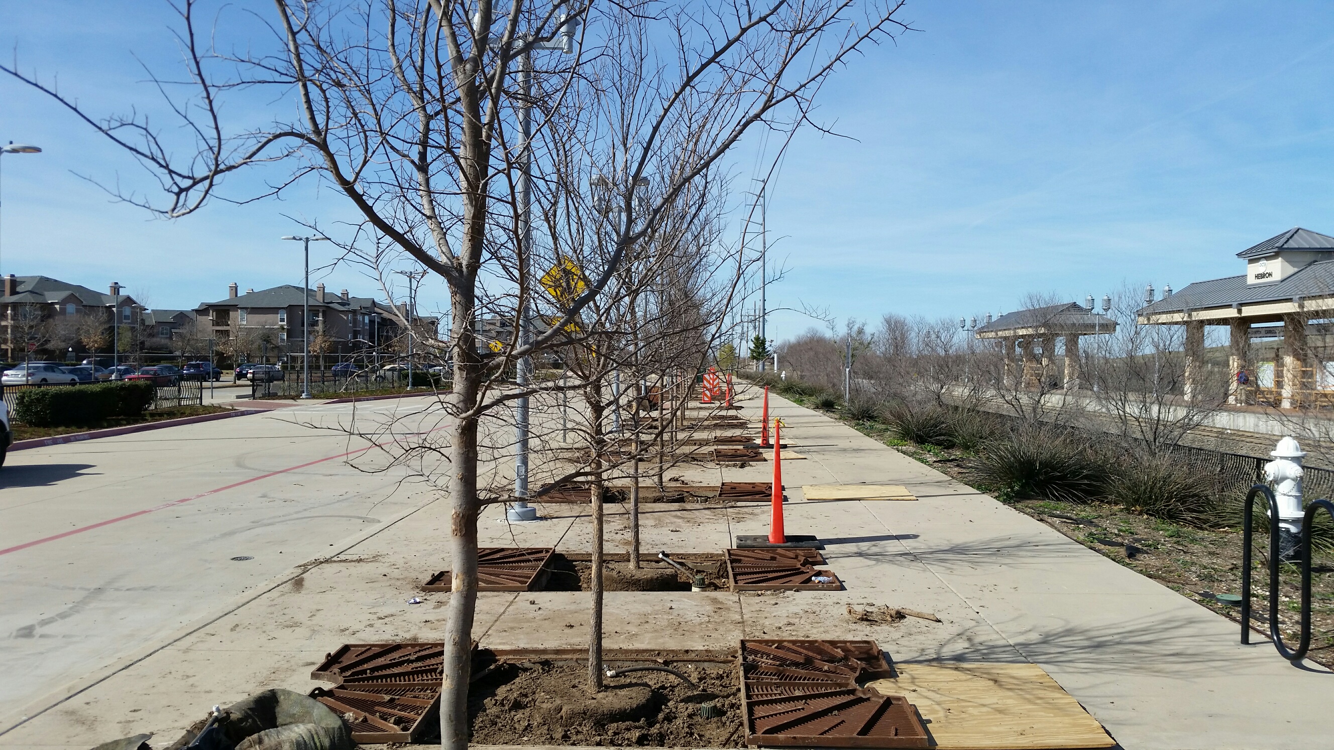 DCTA Enters Phase Three of A-train Rail Stations Landscaping Project
