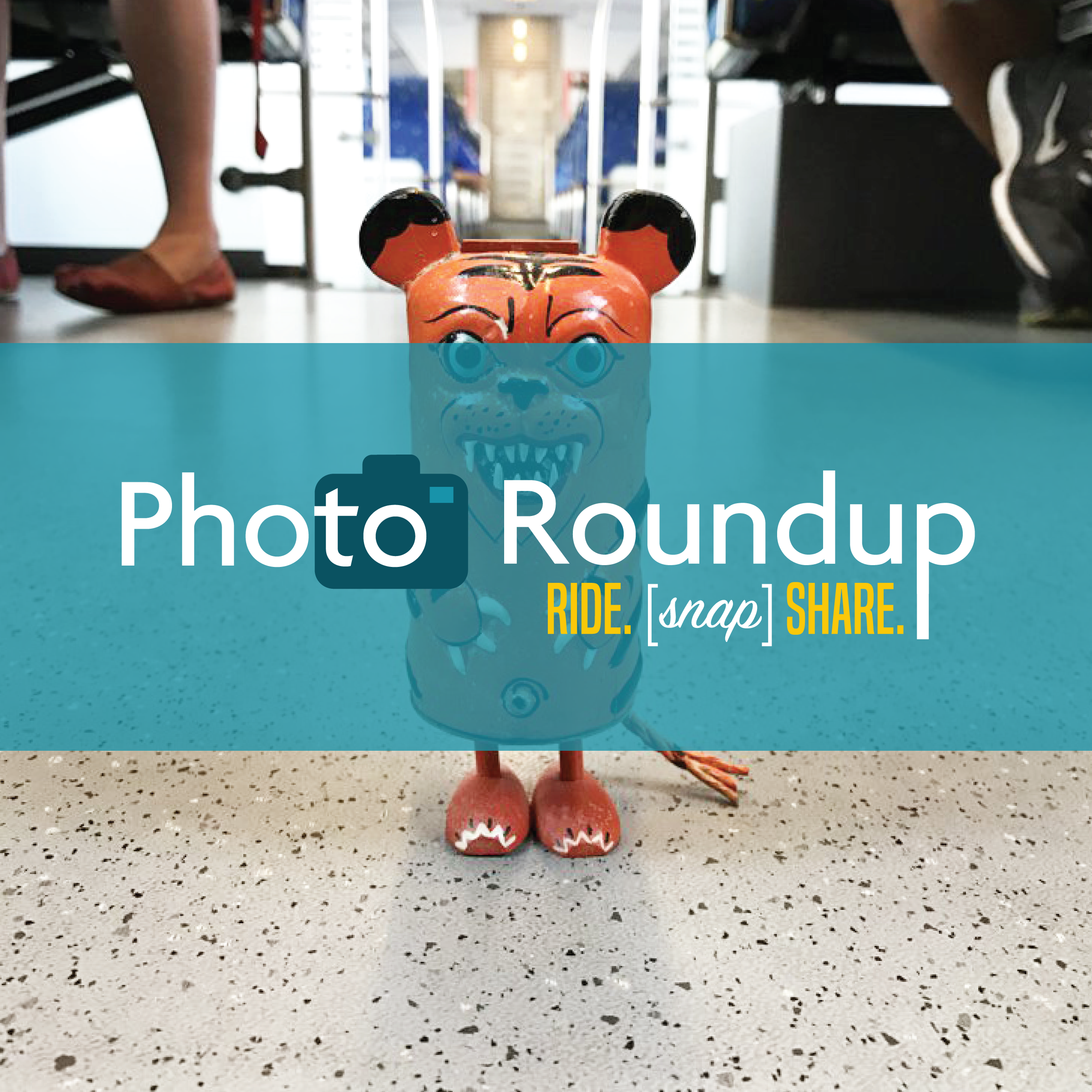 Capture This: January Photo Roundup