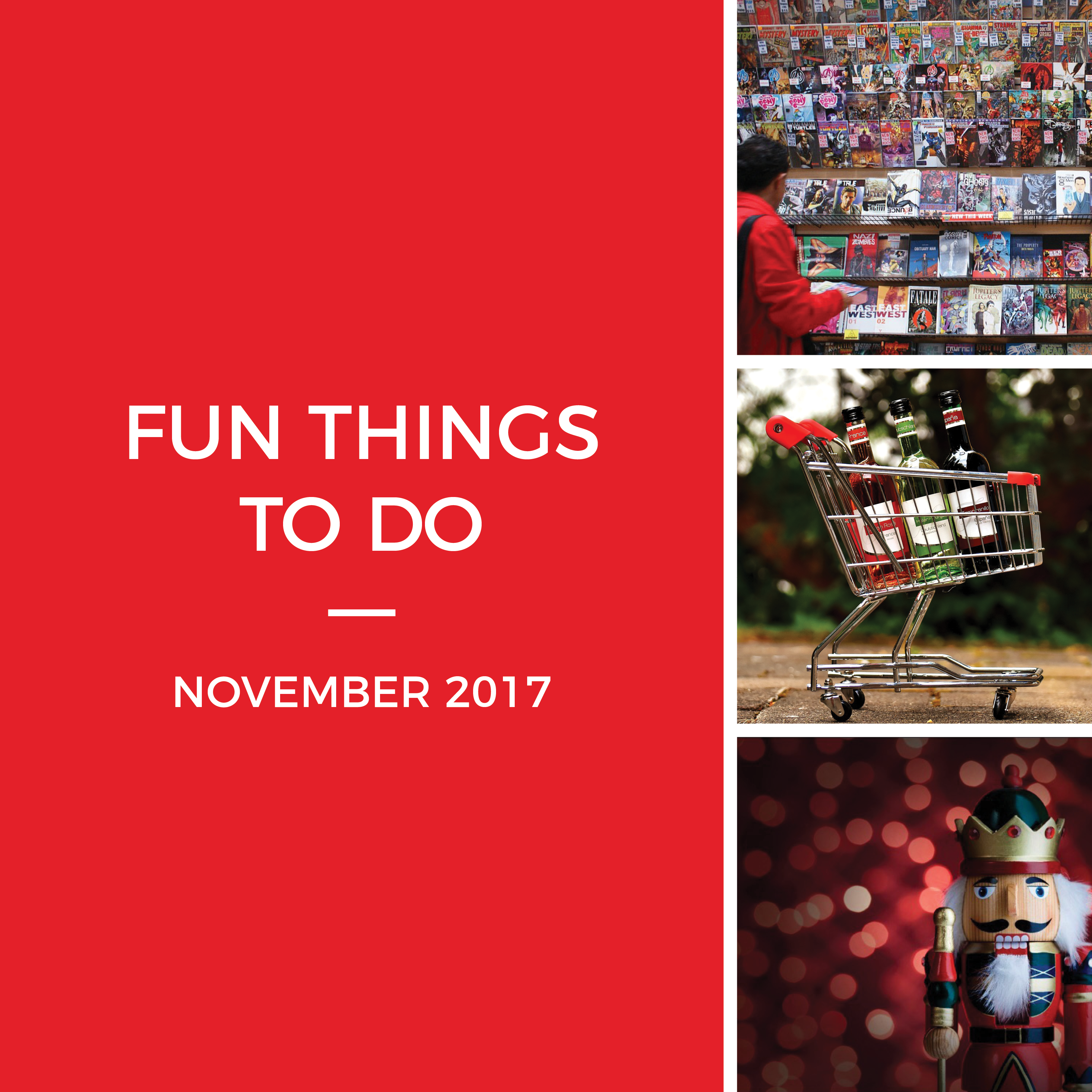 Fun Things to Do in November!