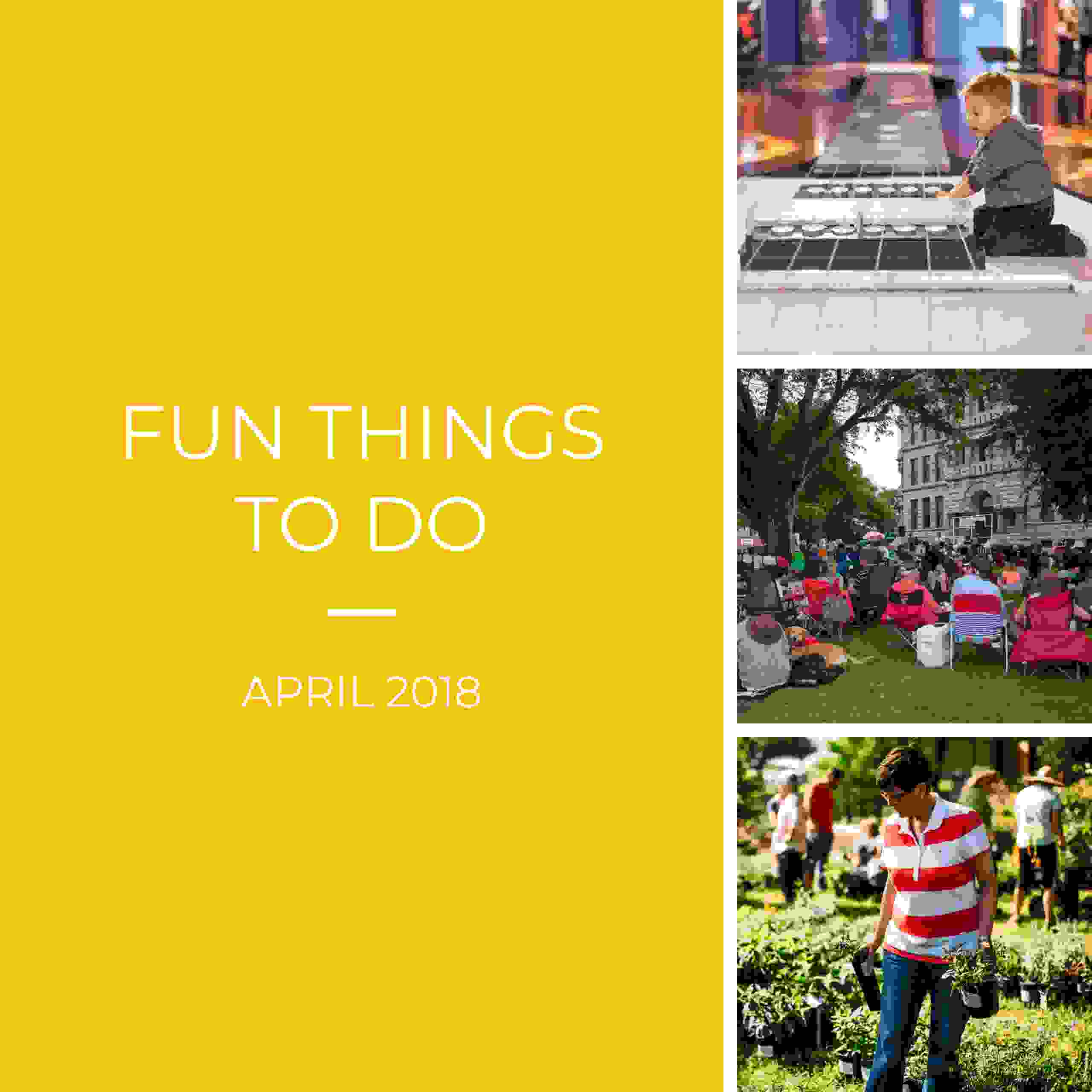 Spring has Sprung – Fun Things to do in April