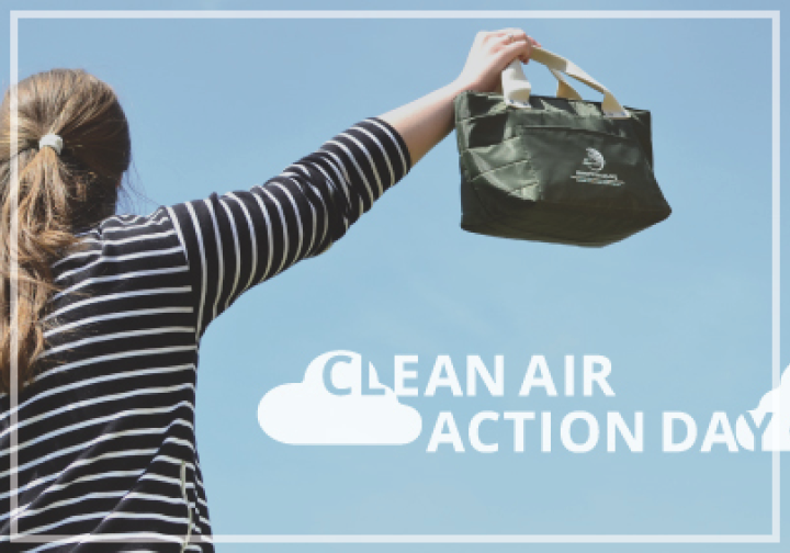 Clean Air Action Day: Best Ways to Help Our Air