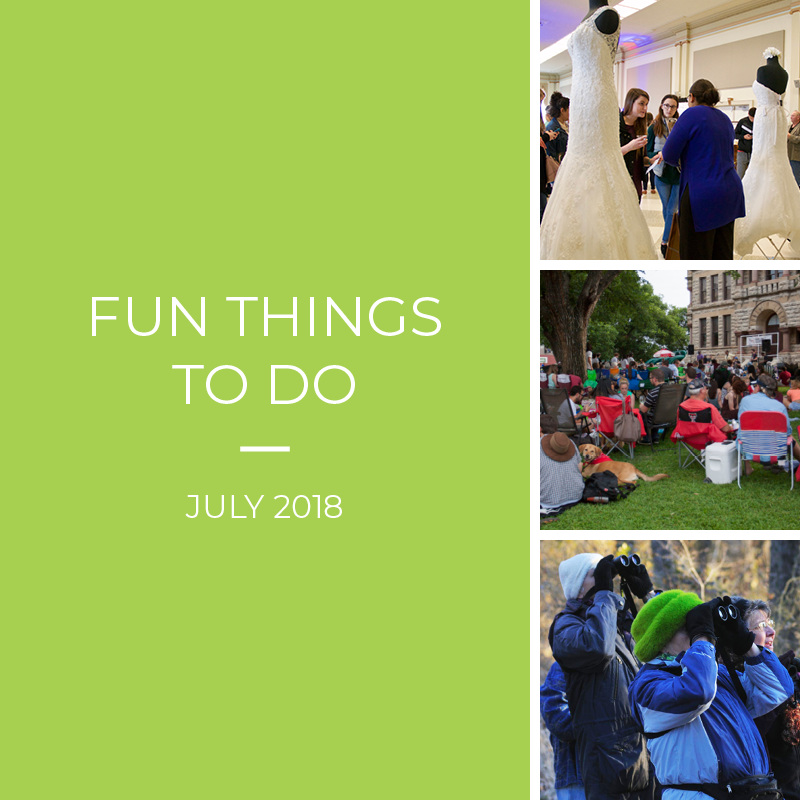 Mid-Summer Festivities: Fun Things to Do in July