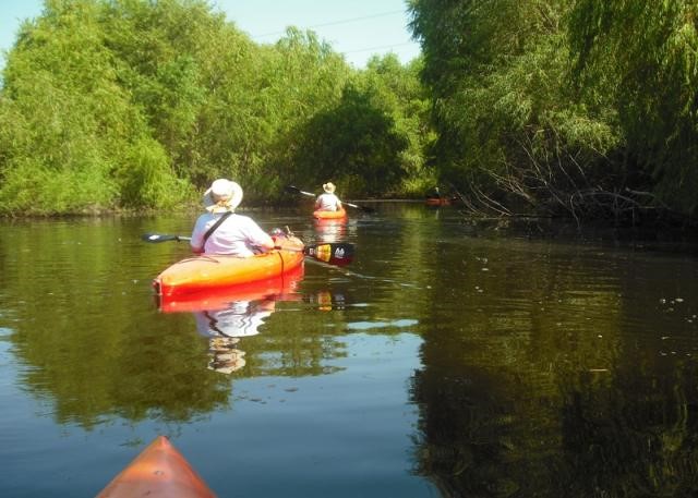 Now Arriving: Lewisville Lake Environmental Learning Area