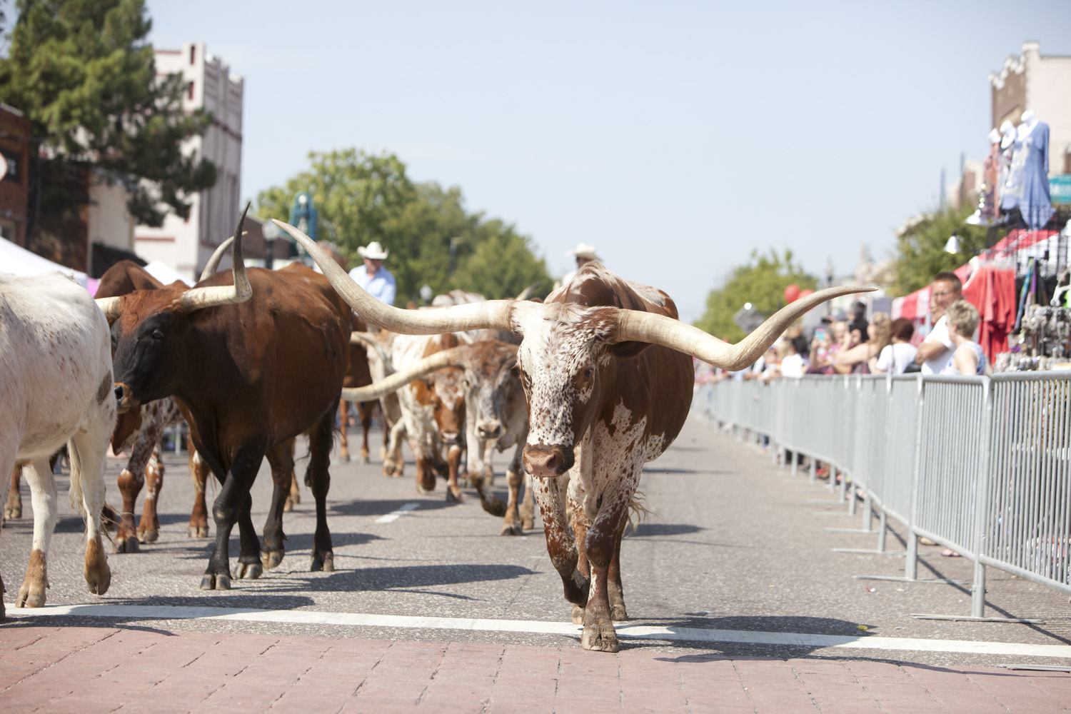 Free DCTA Shuttle Service at Lewisville Western Days Festival